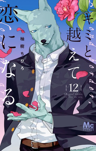 キミと越えて恋になる 単行本版 | コミック | Hulu(フールー)