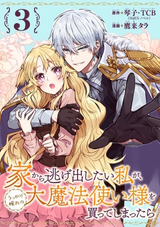 エル　ジゼル 家から逃げ出したい私が、うっかり憧れの大魔法使い様を買ってしまっ