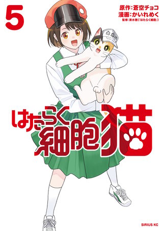 はたらく細胞 猫 | コミック | Hulu(フールー)