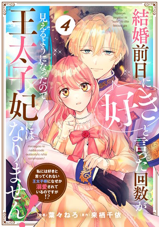 Berry'sFantasy結婚前日に「好き」と言った回数が見えるようになった